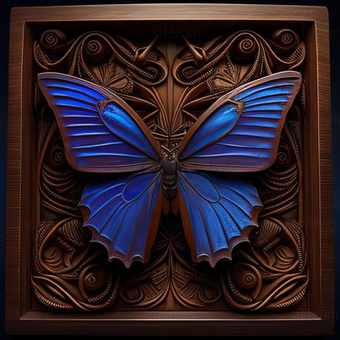 Morpho rhetenor